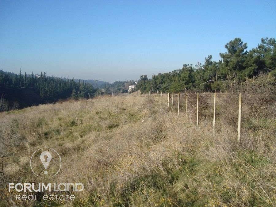 Forumland Real Estate, αγροτεμάχιο 5.274τμ