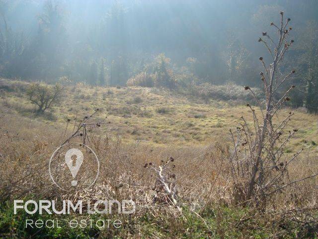 Forumland Real Estate, αγροτεμάχιο 5.274τμ