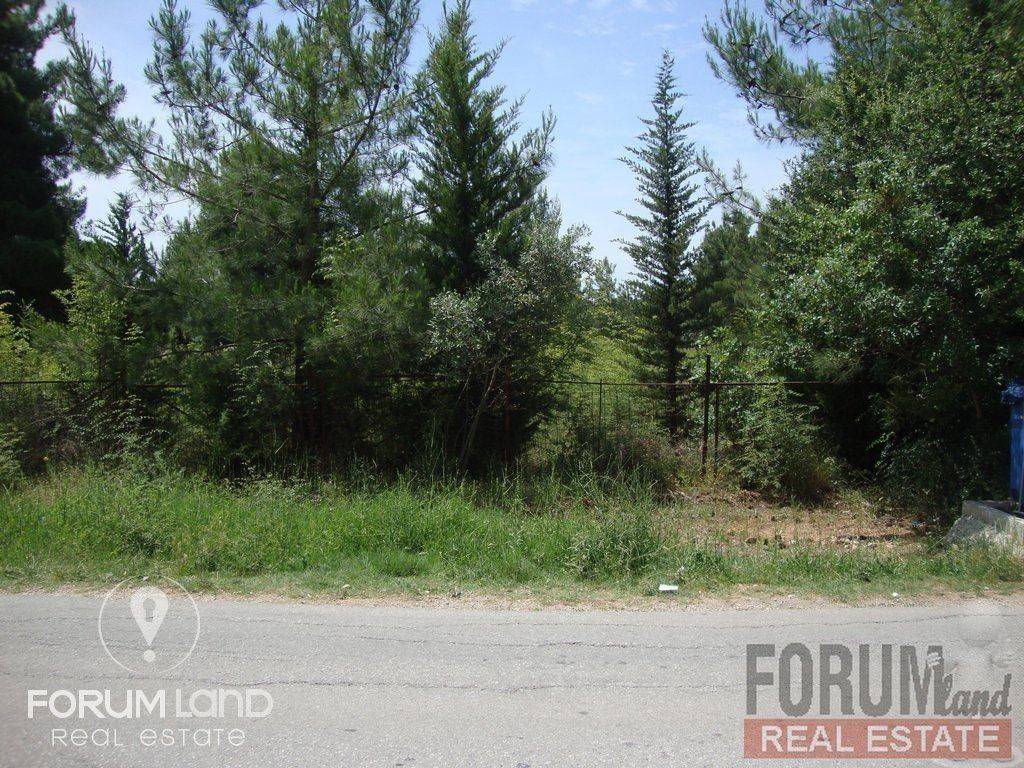 Forumland Real Estate, αγροτεμάχιο 5.274τμ