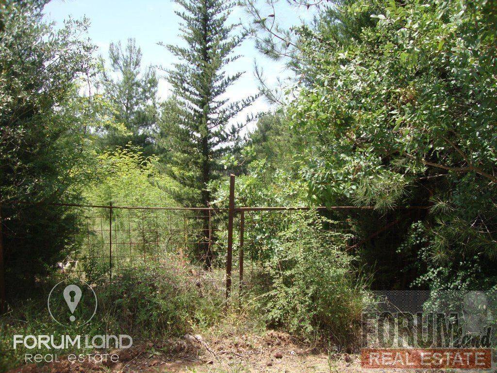 Forumland Real Estate, αγροτεμάχιο 5.274τμ