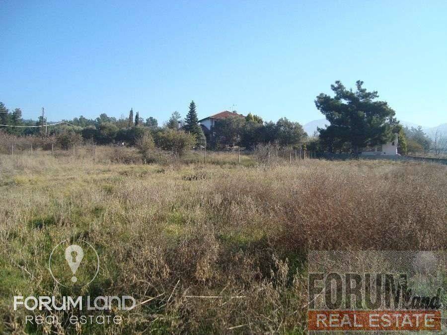 Forumland Real Estate, αγροτεμάχιο 5.274τμ