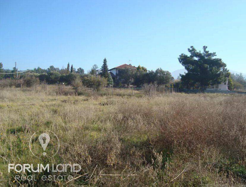 Forumland Real Estate, αγροτεμάχιο 5.274τμ