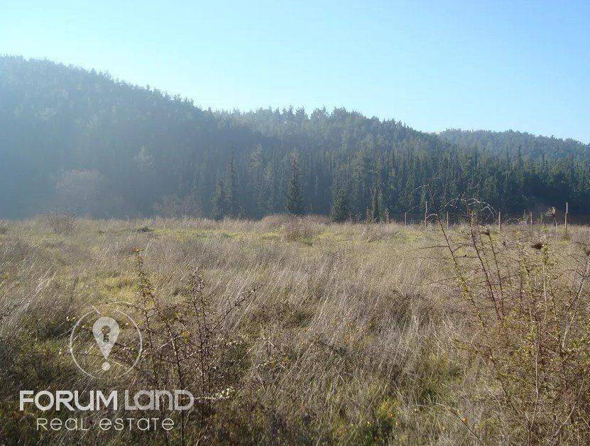 Forumland Real Estate, αγροτεμάχιο 5.274τμ