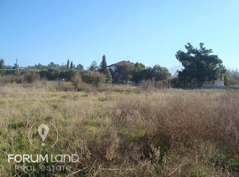 Forumland Real Estate, αγροτεμάχιο 5.274τμ