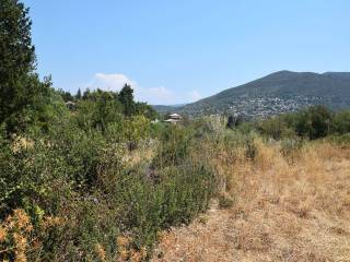 Αγροτεμάχιο