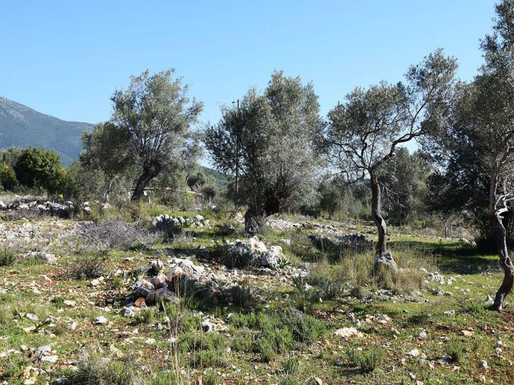 ΑΓΡΟΤΕΜΑΧΙΟ