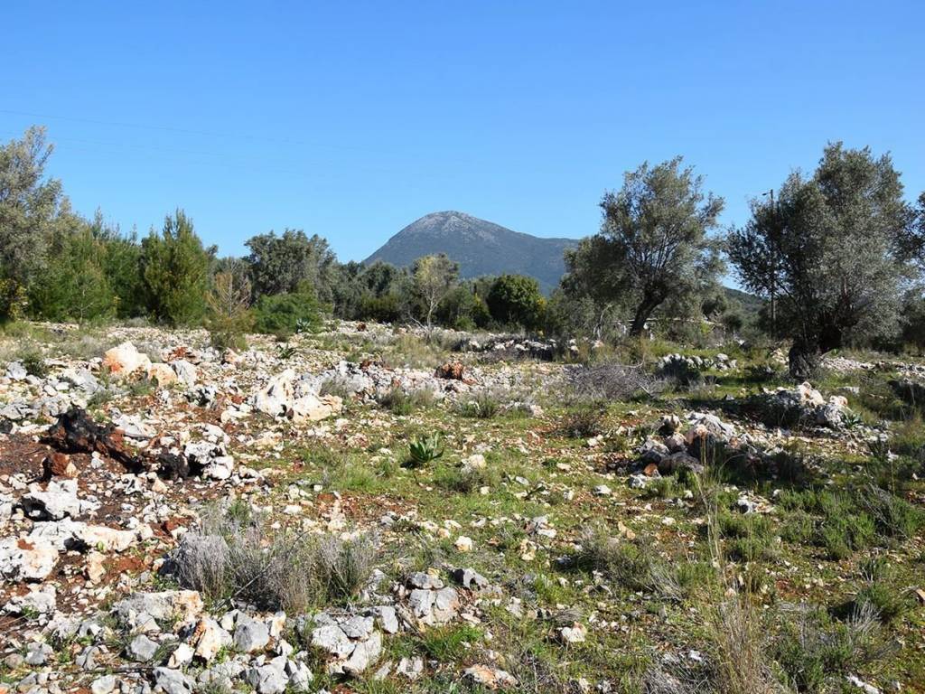 ΑΓΡΟΤΕΜΑΧΙΟ