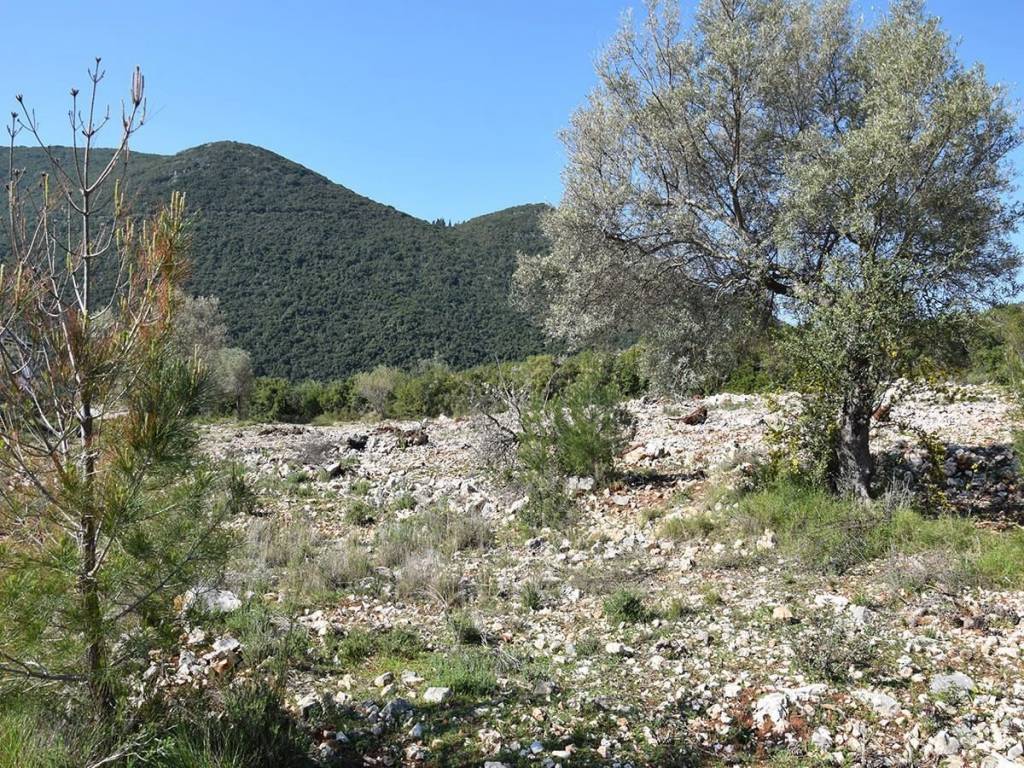 ΑΓΡΟΤΕΜΑΧΙΟ