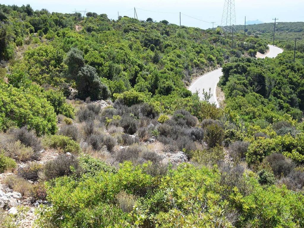 Έκταση ακινήτου