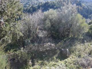 Έκταση ακινήτου