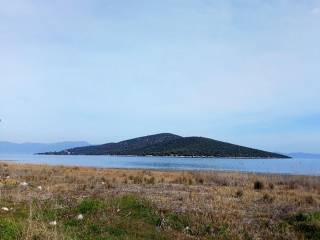 To monadiko parathalassio agrotemachio