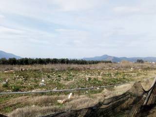 To agrotemachio ton 12 stremmaton