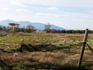 To agrotemachio ton 12 stremmaton