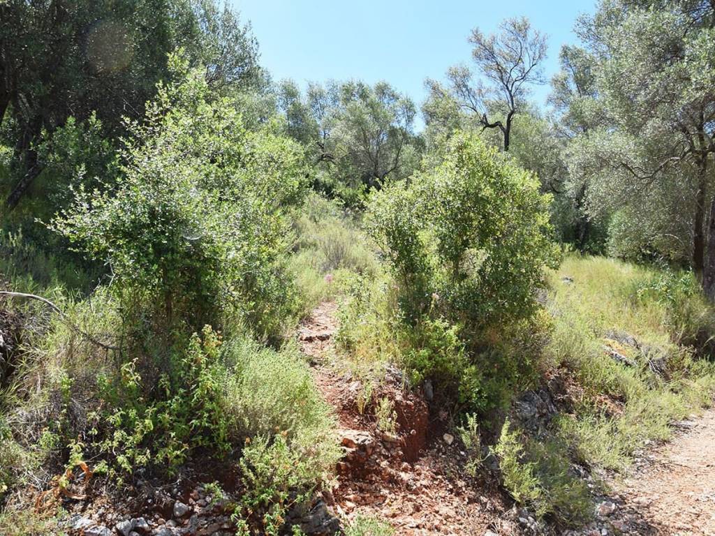 Έκταση ακινήτου