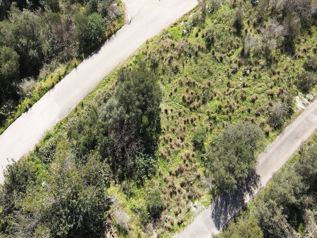 Το αγροτεμάχιο από ψηλά