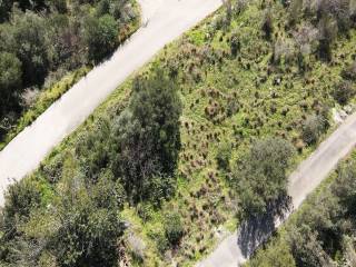 Το αγροτεμάχιο από ψηλά