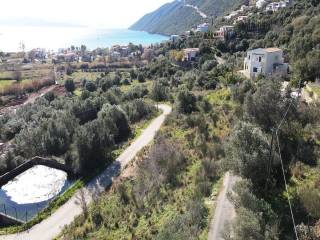 Το αγροτεμάχιο από ψηλά και η θέα