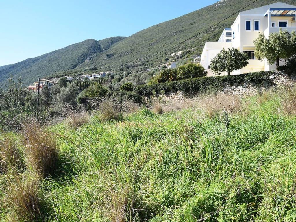 Εντός του αγροτεμαχίου με θέα στο βουνό