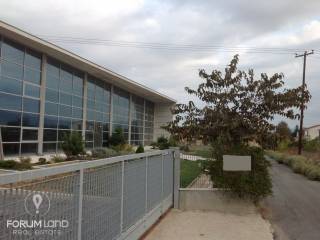 Forumland Real Estate, Κτίριο