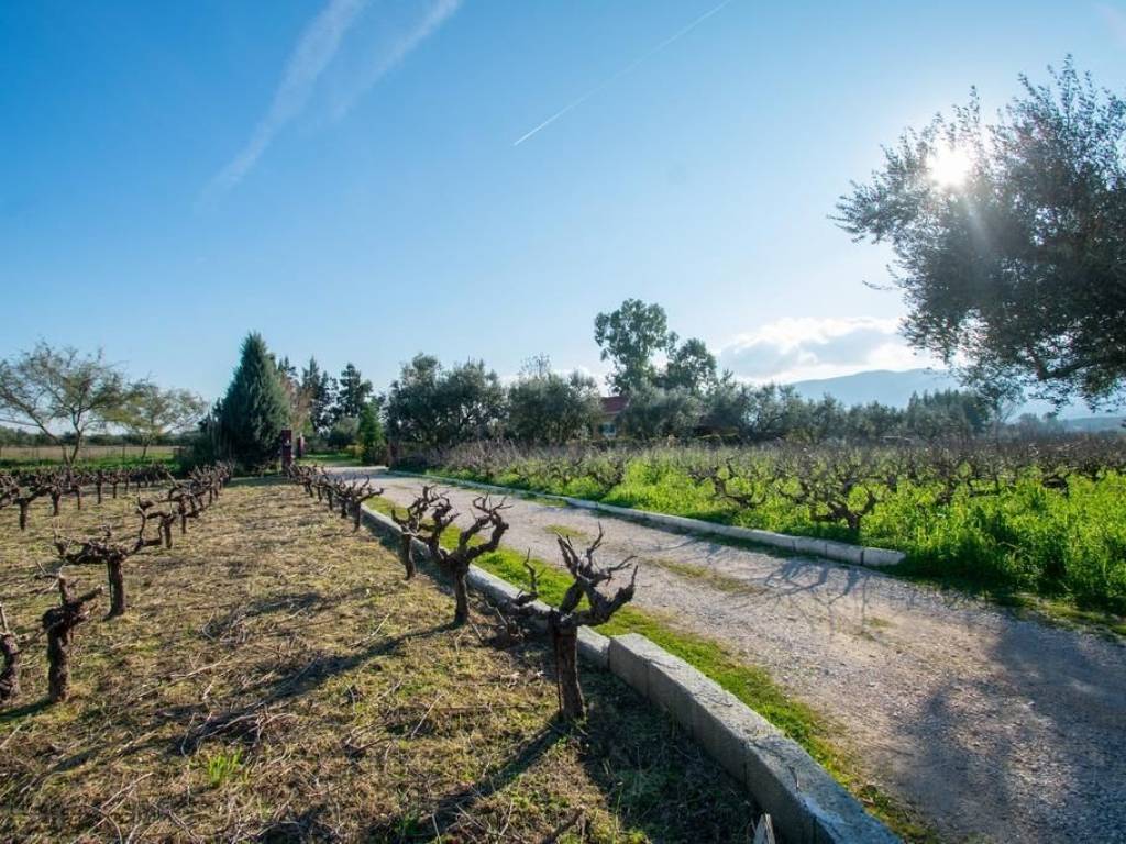 Το οικόπεδο του σπιτιού.