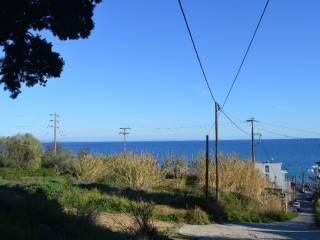 ΤΟ ΟΙΚΟΠΕΔΟ