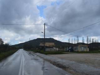 ΠΡΌΣΟΨΗ ΣΕ ΚΕΝΤΡΙΚΌ ΔΡΌΜΟ.