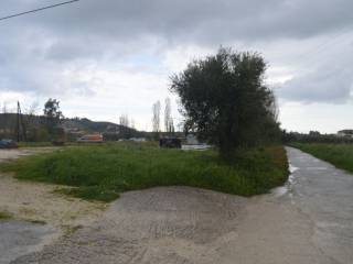 ΠΡΌΣΟΨΗ ΣΕ ΔΡΌΜΟ