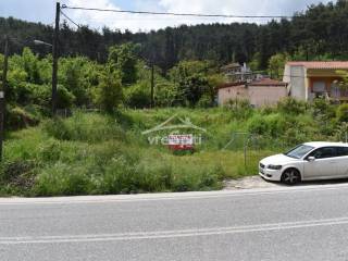 ΑΠΟΨΗ ΟΙΚΟΠΕΔΟΥ