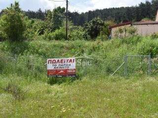 ΑΠΟΨΗ ΟΙΚΟΠΕΔΟΥ