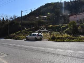 ΑΠΟΨΗ ΟΙΚΟΠΕΔΟΥ