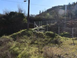 ΑΠΟΨΗ ΟΙΚΟΠΕΔΟΥ