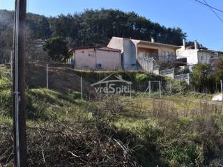 ΑΠΟΨΗ ΟΙΚΟΠΕΔΟΥ