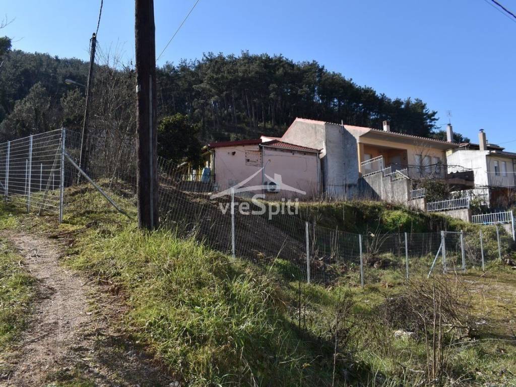 ΑΠΟΨΗ ΟΙΚΟΠΕΔΟΥ