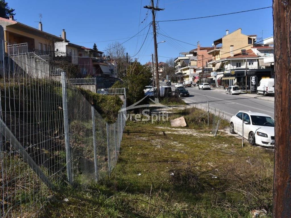 ΑΠΟΨΗ ΟΙΚΟΠΕΔΟΥ