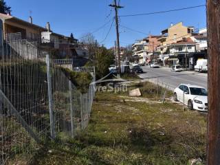 ΑΠΟΨΗ ΟΙΚΟΠΕΔΟΥ