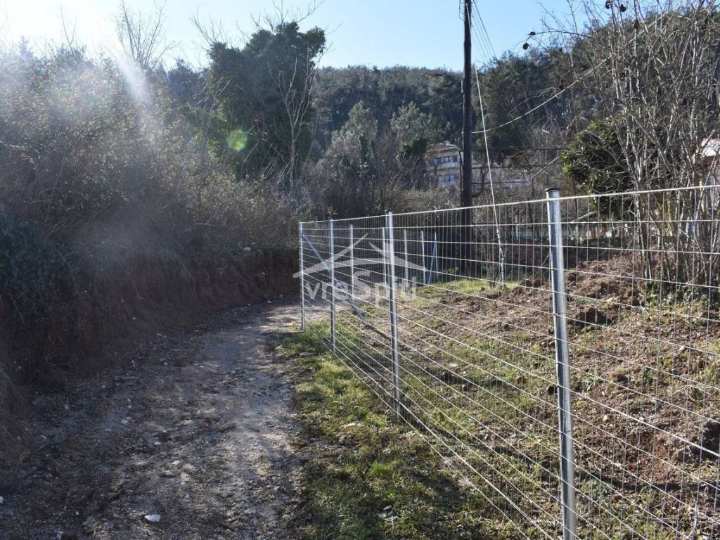 ΑΠΟΨΗ ΟΙΚΟΠΕΔΟΥ