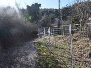 ΑΠΟΨΗ ΟΙΚΟΠΕΔΟΥ