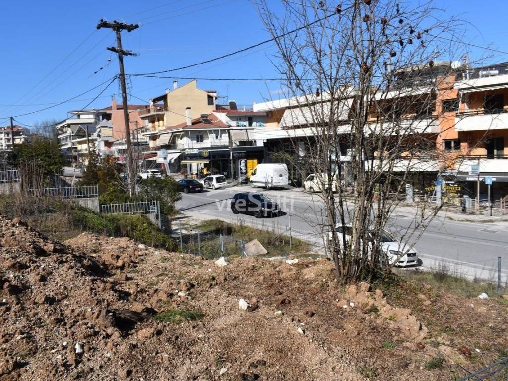 ΑΠΟΨΗ ΟΙΚΟΠΕΔΟΥ