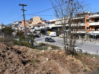 ΑΠΟΨΗ ΟΙΚΟΠΕΔΟΥ