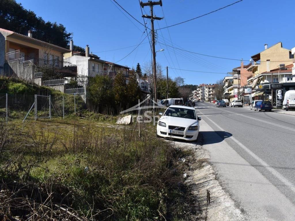 ΑΠΟΨΗ ΟΙΚΟΠΕΔΟΥ