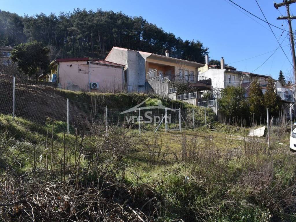 ΑΠΟΨΗ ΟΙΚΟΠΕΔΟΥ