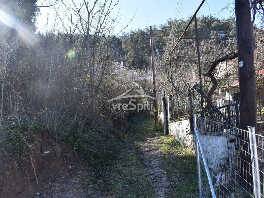 ΑΠΟΨΗ ΟΙΚΟΠΕΔΟΥ