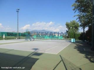 ΓΗΠΕΔΑ ΤΕΝΙΣ