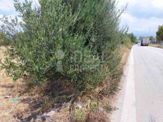 Αγροτεμάχιο