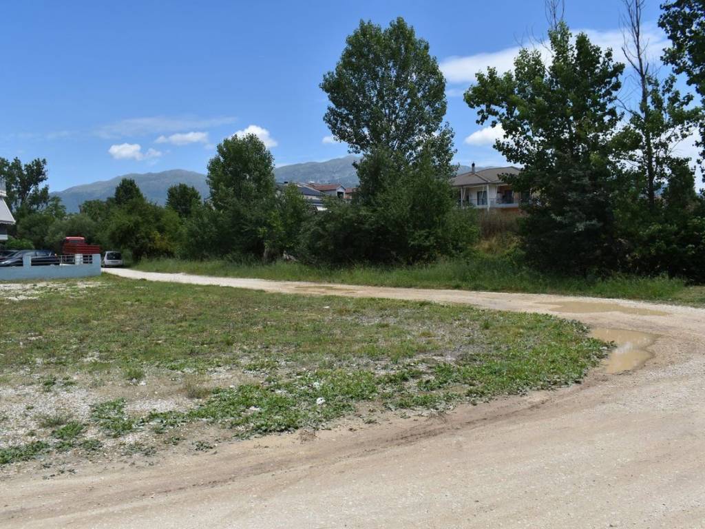 ΑΠΟΨΗ ΟΙΚΟΠΕΔΟΥ