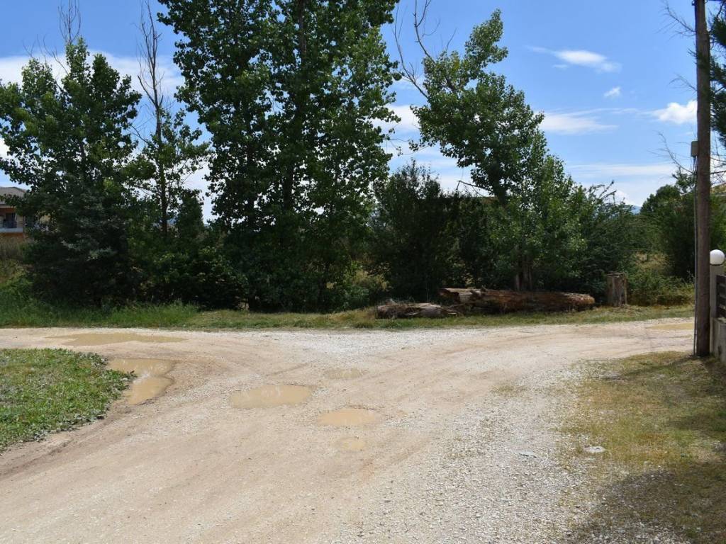 ΑΠΟΨΗ ΟΙΚΟΠΕΔΟΥ