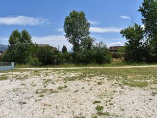 ΑΠΟΨΗ ΟΙΚΟΠΕΔΟΥ