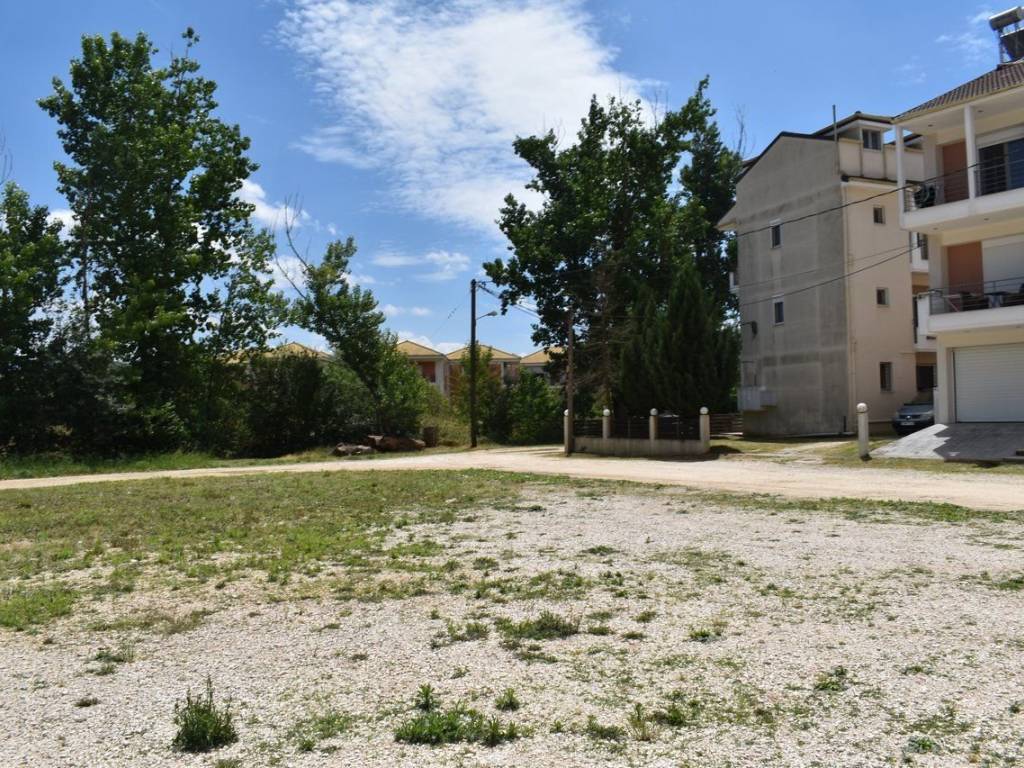 ΑΠΟΨΗ ΟΙΚΟΠΕΔΟΥ