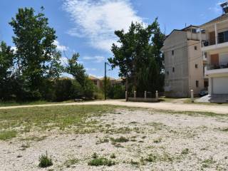 ΑΠΟΨΗ ΟΙΚΟΠΕΔΟΥ