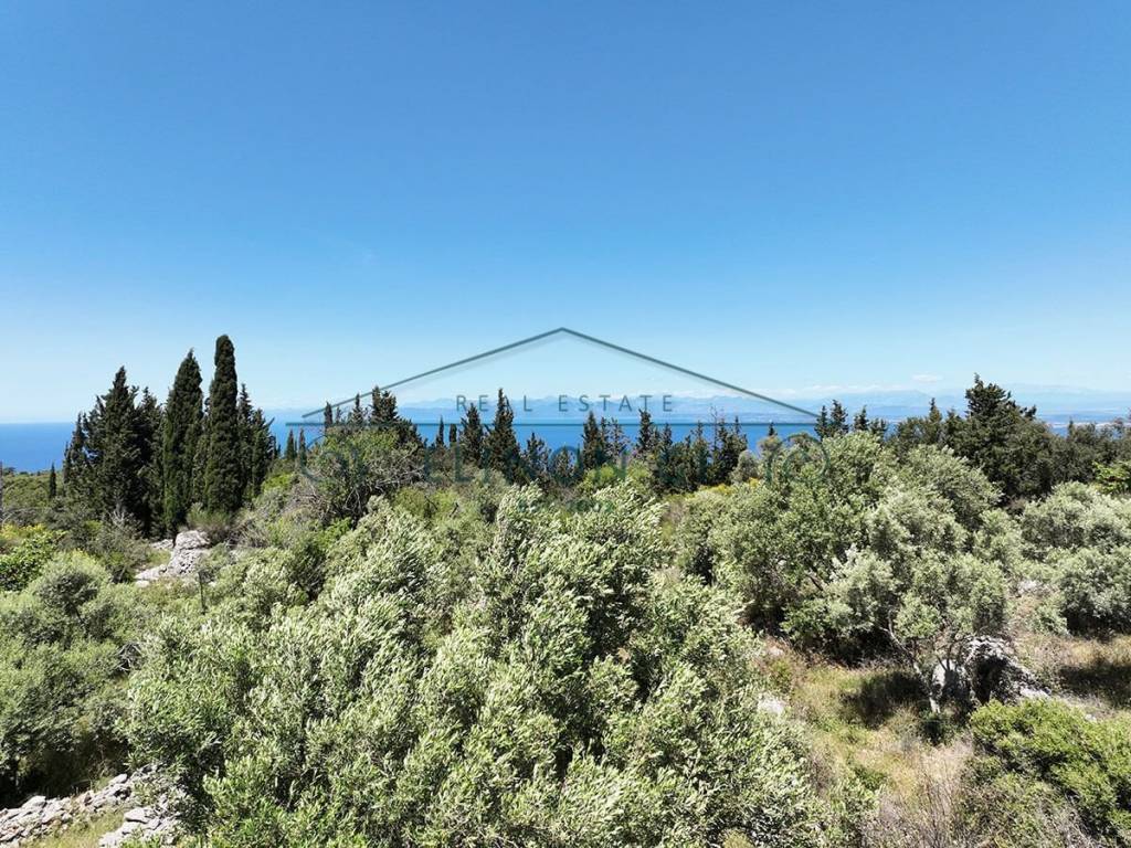 Η όμορφη θέα από το αγροτεμάχιο